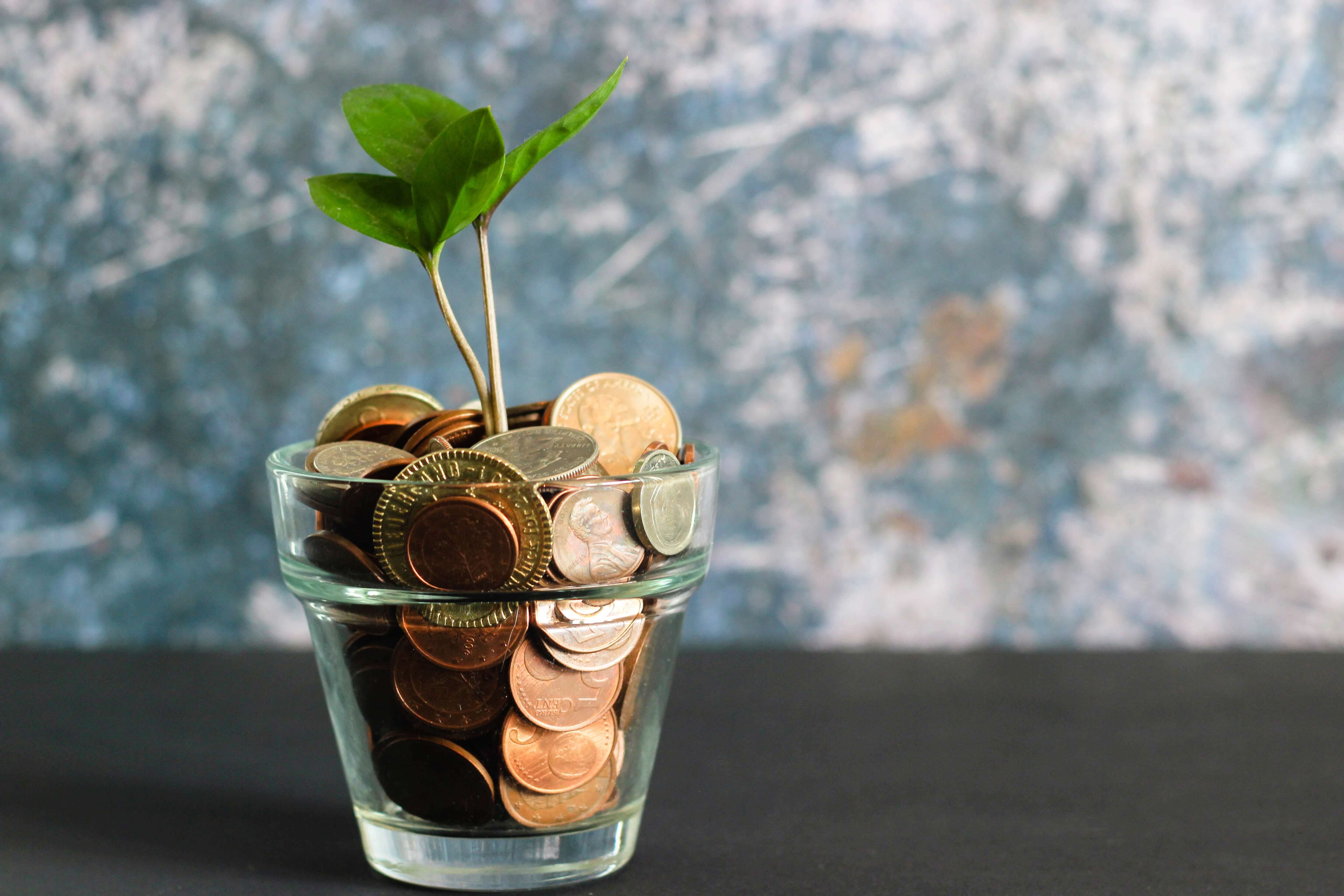 coins on a cup